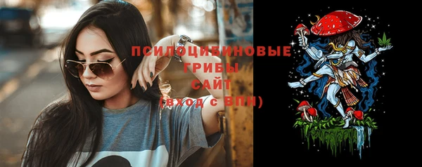 ECSTASY Абаза