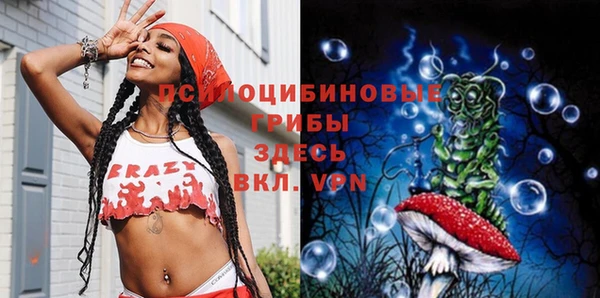 ECSTASY Абаза
