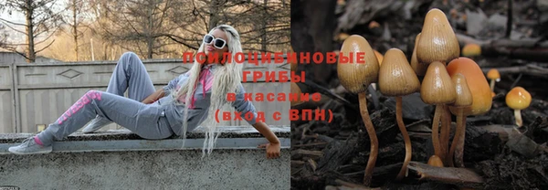 бутират Пестово
